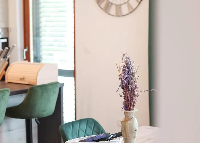 公寓 Blue Anchor 扎达尔